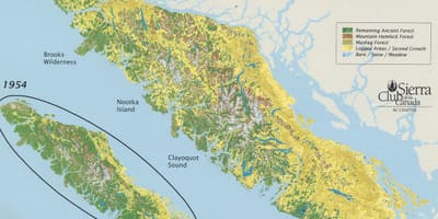 Rainforest vankūveras salu kartē